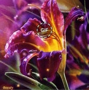 Meet your Posher, Ian